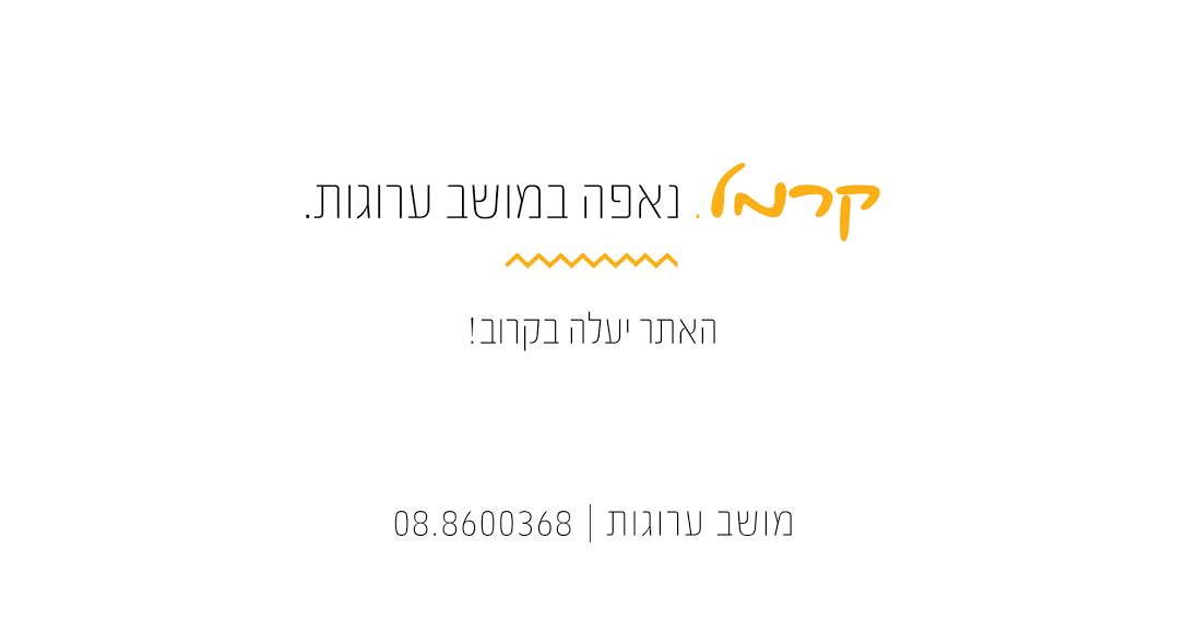 האתר יעלה בקרוב!
